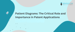 Patient Diagrams: The Critical Role and Importance in Patent Applications